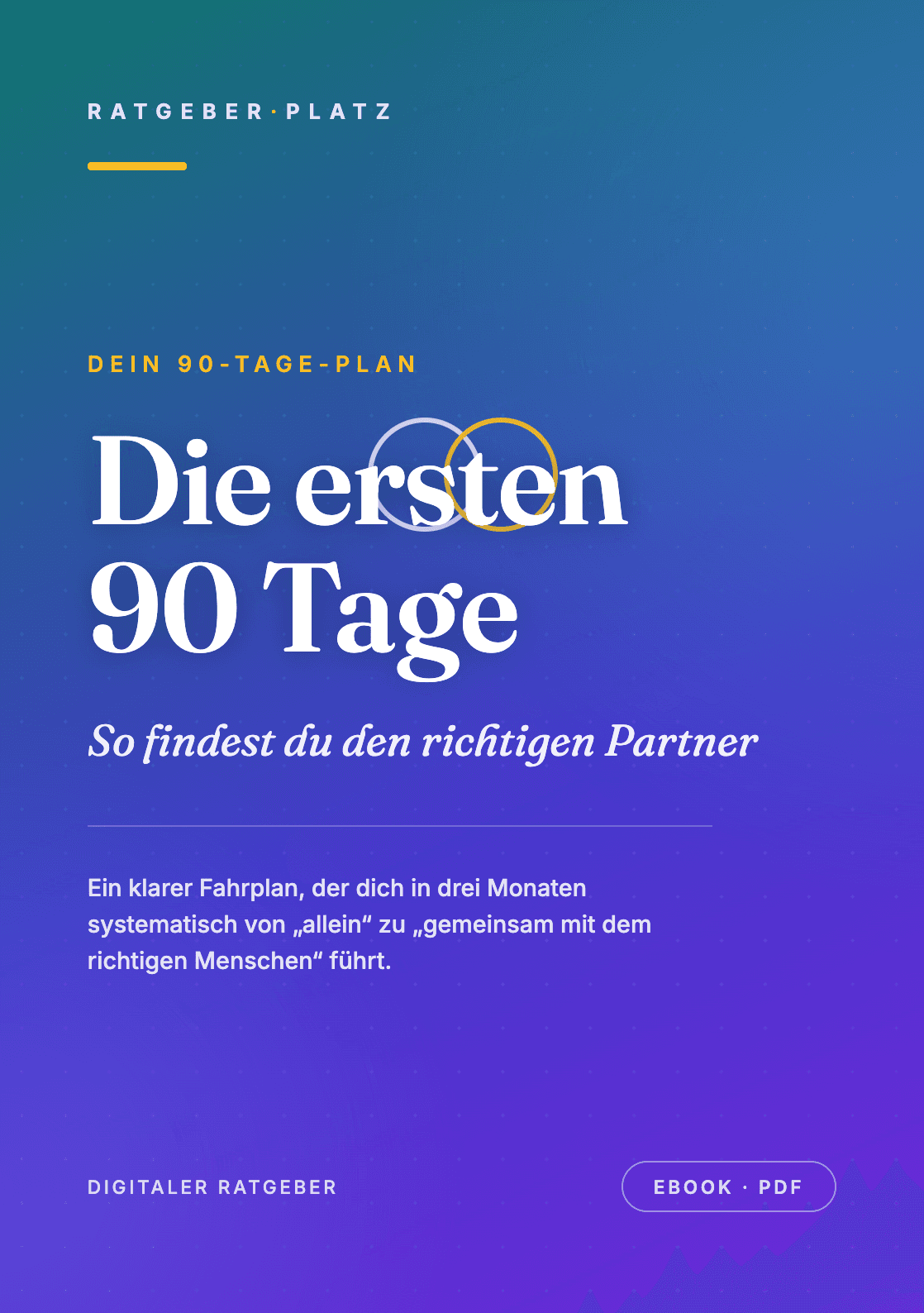 Cover: Die ersten 90 Tage